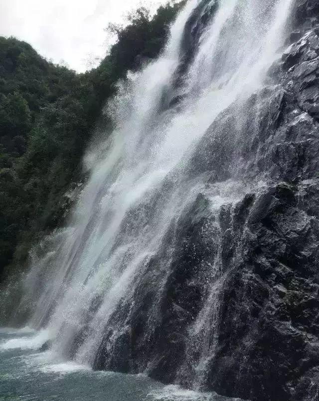 动物帮帮忙保卫家园